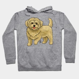 Dog - Maltipoo - Apricot Hoodie